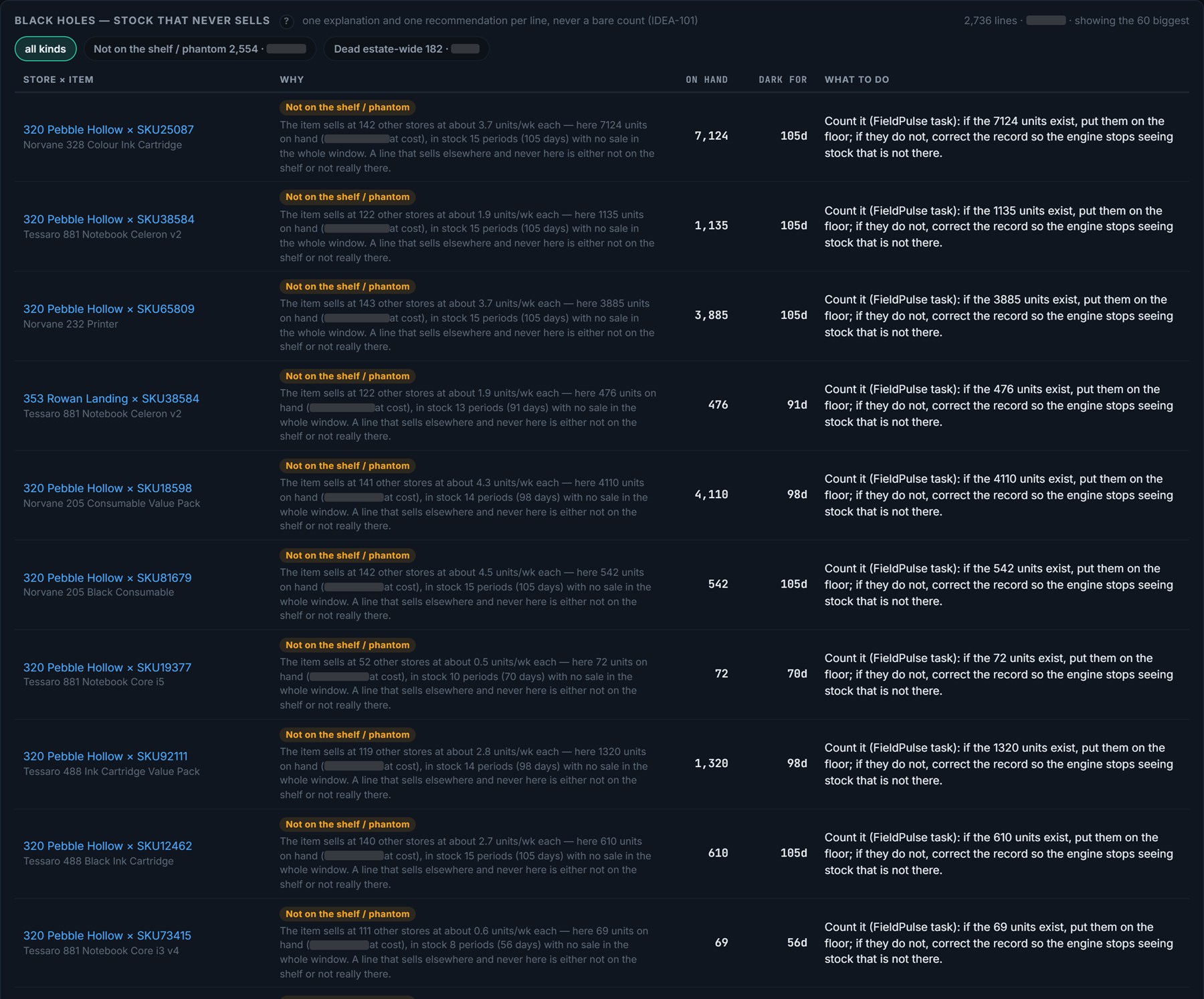 Black holes: ten lines with inventory on hand and no sales, each with a plain-English explanation and a count task for the store.